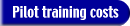 Pilot training costs
